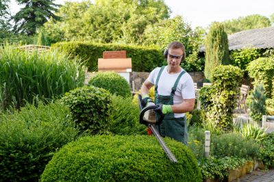 Außenanlagenpflege Ihr grüner Partner für Garten u